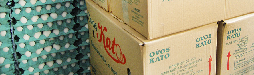 banner_pagina_ovos_kato